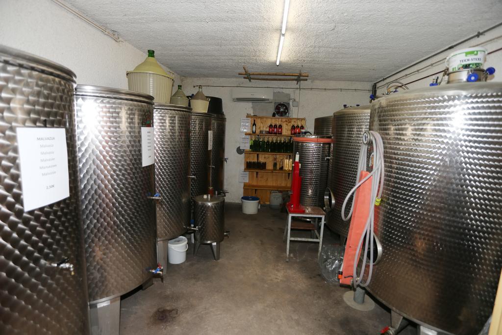 Vila Mejak & Bordon Sečovlje Exteriér fotografie