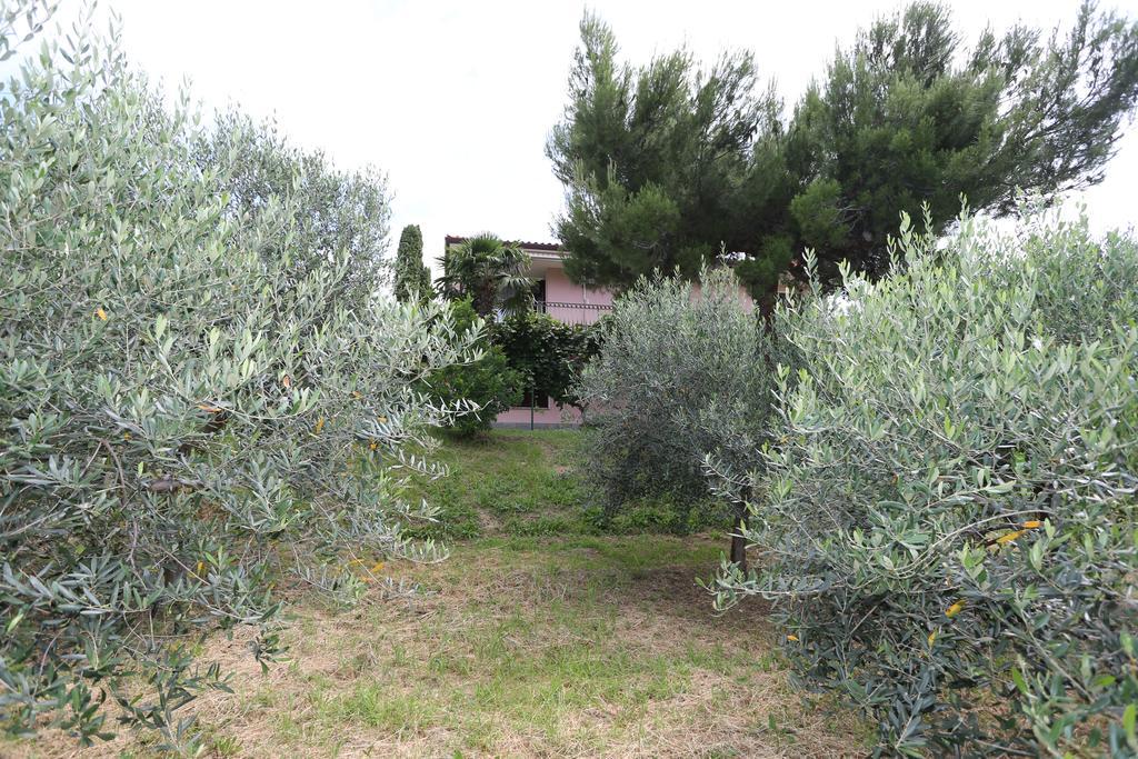 Vila Mejak & Bordon Sečovlje Exteriér fotografie