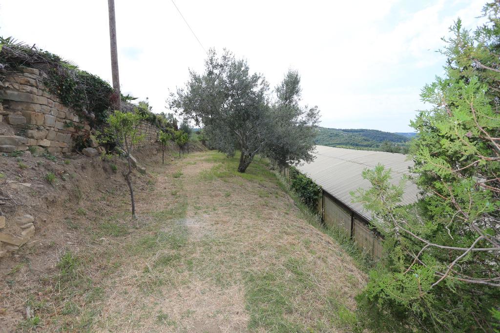 Vila Mejak & Bordon Sečovlje Exteriér fotografie